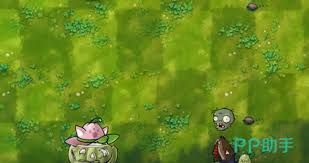 植物大战僵尸3窝瓜玩法攻略