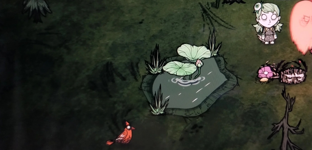 饥荒芭蕉树和莲花株有什么特性 《饥荒》芭蕉树和莲花株特性介绍