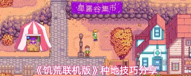 《饥荒联机版》种地技巧分享