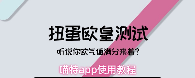 喵特app使用教程