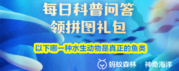 以下哪一种水生动物是真正的鱼类