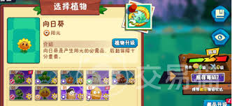 植物大战僵尸3卷心菜投手怎么玩