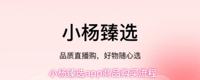 小杨臻选app商品购买流程