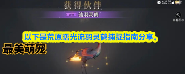 荒原曙光流羽灵鹤捕捉指南