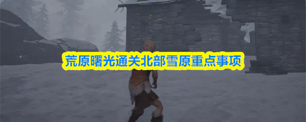 荒原曙光通关北部雪原重点事项