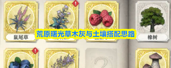 荒原曙光草木灰与土壤搭配思路