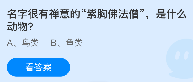 名字很有禅意的紫胸佛法僧是什么动物