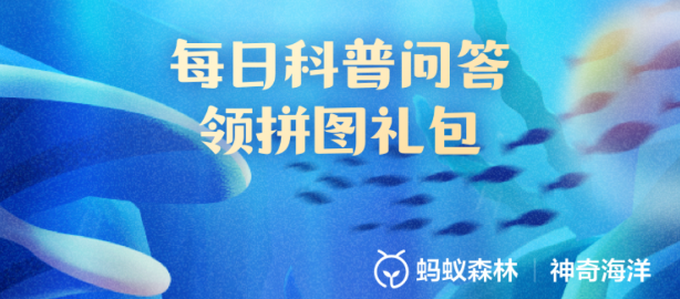 海茄子是以下哪种生物的俗称