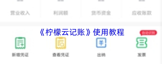 《柠檬云记账》使用教程
