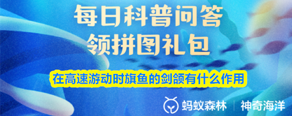 在高速游动时旗鱼的剑颌有什么作用