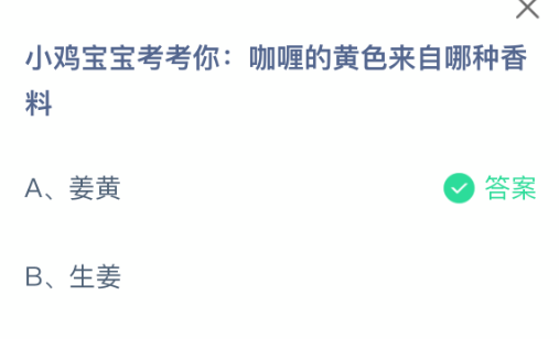 小鸡宝宝考考你:咖喱的黄色来自哪种香料