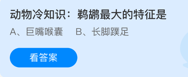 动物冷知识鹈鹕最大的特征是
