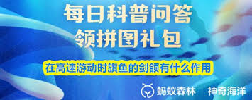 高速游动时旗鱼的剑颌有啥作用