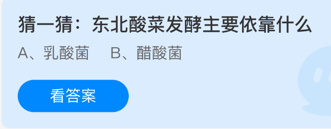 猜一猜东北酸菜发酵主要依靠什么