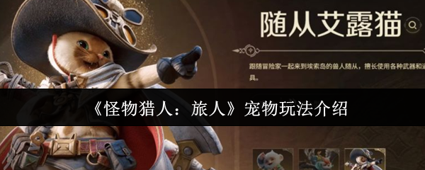 《怪物猎人：旅人》宠物玩法介绍