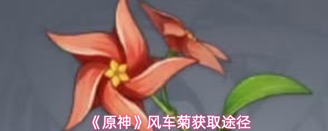 《原神》风车菊获取途径