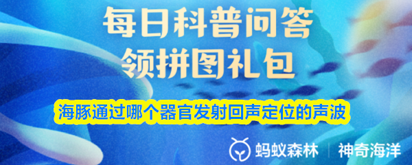 海豚通过哪个器官发射回声定位的声波