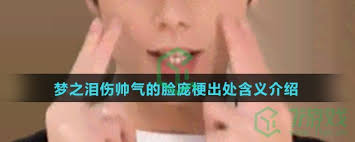 梦之泪伤帅气脸庞的梗是什么