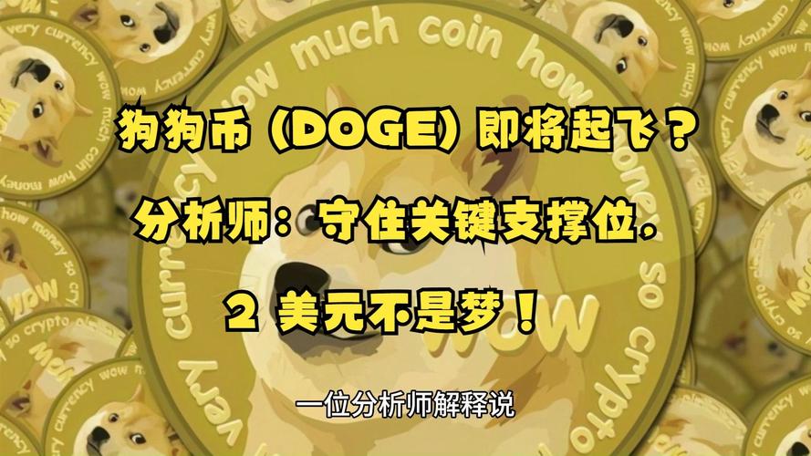 doge是什么币种：doge是什么币种最新消息-第2张图片