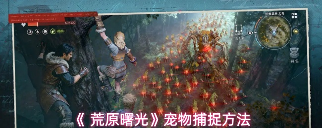 《 荒原曙光》宠物捕捉方法