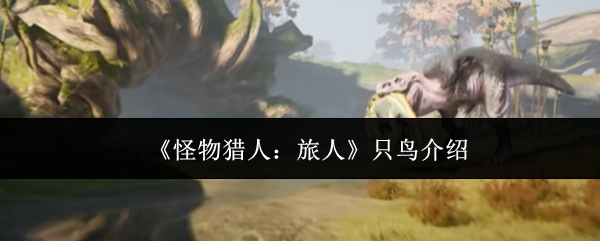 《怪物猎人：旅人》只鸟介绍