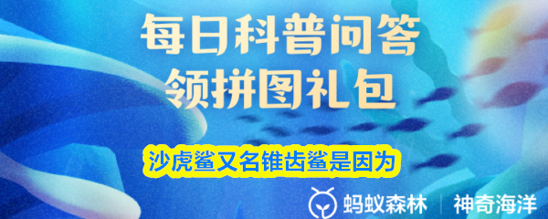 沙虎鲨又名锥齿鲨是因为