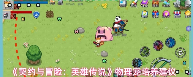 《契约与冒险:英雄传说》物理宠培养建议