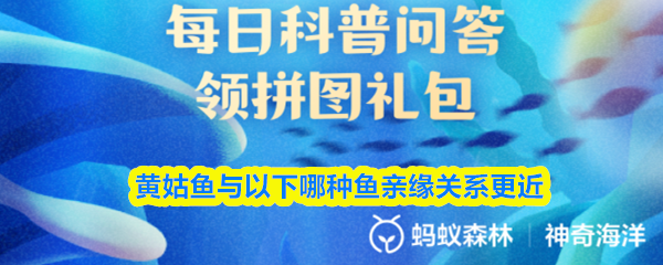 黄姑鱼与以下哪种鱼亲缘关系更近