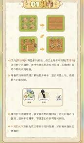 光与夜之恋丰果农场玩法是什么