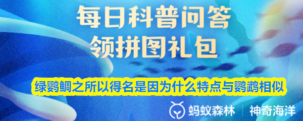 绿鹦鲷之所以得名是因为什么特点与鹦鹉相似