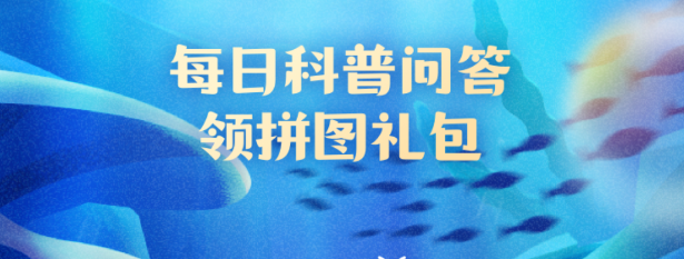 关于东星斑的特点，以下哪一项是正确的