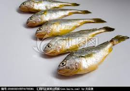 黄姑鱼与哪种鱼亲缘关系更近