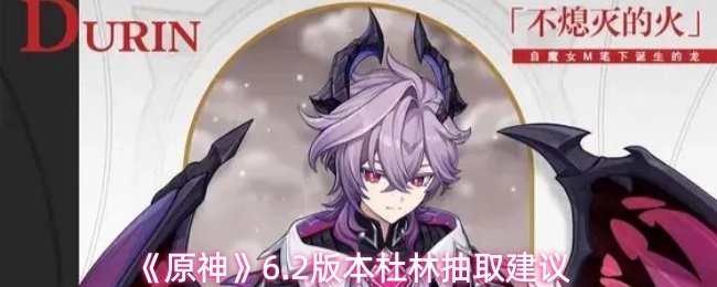 《原神》6.2版本杜林抽取建议