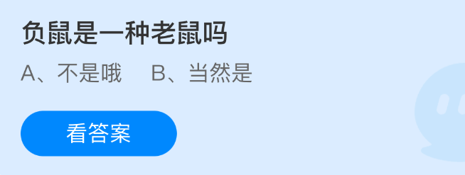 负鼠是一种老鼠吗