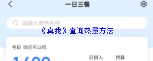 《真我》查询热量方法