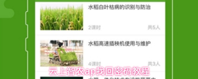 云上智农ap找回密码教程