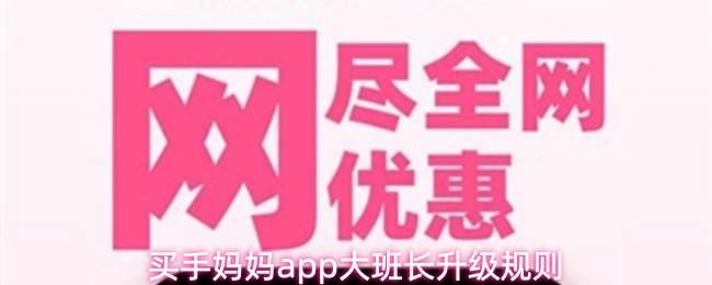 买手妈妈app大班长升级规则