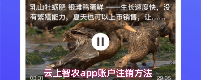 云上智农app账户注销方法