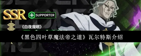 《黑色四叶草魔法帝之道》瓦尔特斯介绍