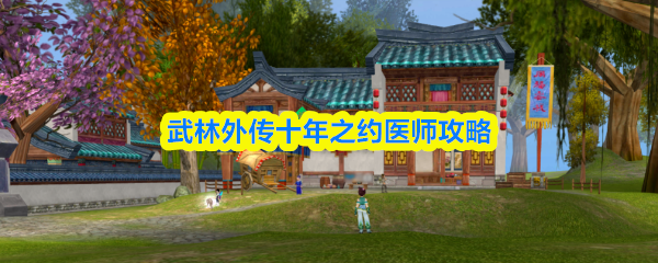 武林外传十年之约医师攻略