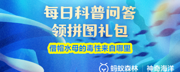 僧帽水母的毒性来自哪里