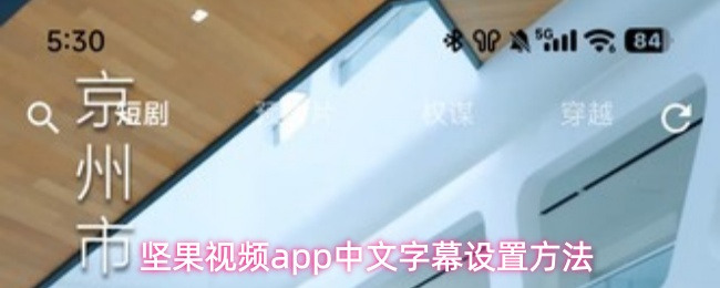 坚果视频app中文字幕设置方法