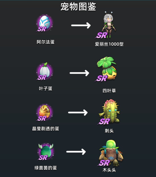 《圣物英雄》宠物图鉴介绍