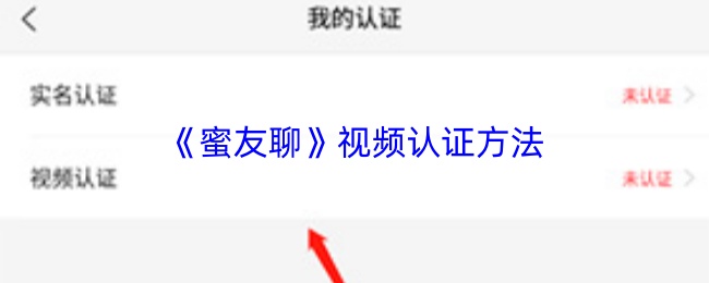《蜜友聊》视频认证方法