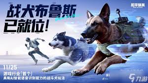 和平精英战斗军犬怎么玩
