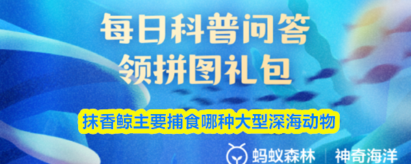 抹香鲸主要捕食哪种大型深海动物