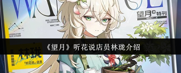 《望月》听花说店员林珑介绍