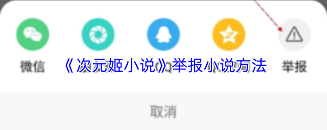 《次元姬小说》举报小说方法