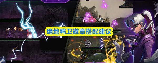 绝地鸭卫徽章搭配建议