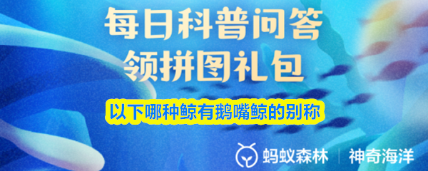 以下哪种鲸有鹅嘴鲸的别称